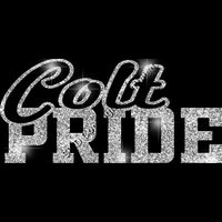 GLT59 SILVER GLITTER Thumbnail