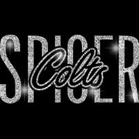 GLT95 SILVER GLITTER Thumbnail